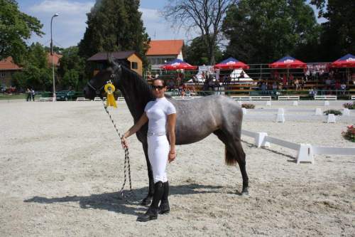 neapolitanoxv-7marinela